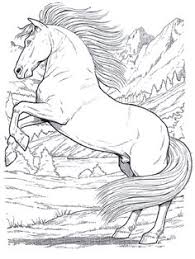 Weitere ideen zu ausmalbilder pferde, kostenlose ausmalbilder, ausmalbilder. 31 Ausmalbilder Pferde Ideen Ausmalbilder Pferde Ausmalbilder Ausmalen