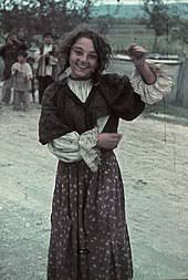 We did not find results for: Roms Wikipedia