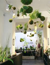 30 Plantes Suspendues Pour Creer Un Cocon De Verdure Jardinage Interieur Jardins Suspendus Deco Plantes Interieur