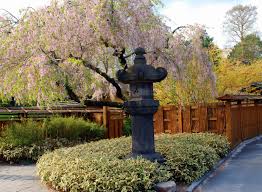 Maybe you would like to learn more about one of these? Mille Fiori Favoriti The Brooklyn Botanic Japanese Hill And Pond Garden