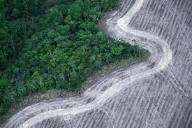 Brazil Boosts Climate Finance as Greenhouse Emissions Fall, but Challenges Remain
