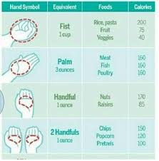 Portion Size Chart Health Diet Fitness Diet How To Stay
