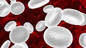 Kekurangan sel darah putih pada anak. 4 Kelainan Yang Bisa Terjadi Pada Sel Darah Putih