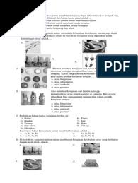 Check spelling or type a new query. Soal Hot Prakarya9