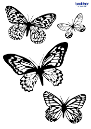 Mariposas Butterfly Outline Butterfly Coloring Page Flowers For Mom