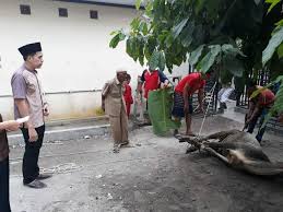 Bahkan ada juga orang yang sengaja menyimpan jenis tanaman air ini untuk perkembangan biakan ikan atau hewan air. Riski Hasibuan Salurkan 6 Hewan Qurban Di Sergai Ini Penilaian Masyarakat