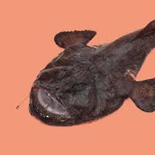 Maybe you would like to learn more about one of these? Monkfish Love Seafood