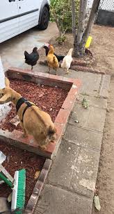 Eda Quezada (@edaquezada)