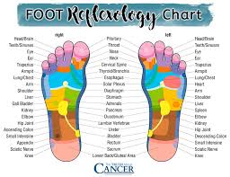 Pin By Diane Minto On Health Reflexology Foot Chart Reflexology Chart Foot Reflexology