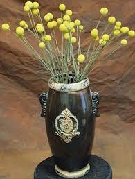 Dried Craspedia Billy Balls Flowers 16 22in Long Yellow On Green Stem 10 Stems Per Bunch About 3 Bunches Shown Single Bunch Walmart Com Walmart Com