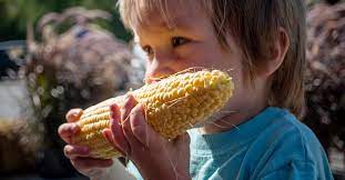 How to reheat baked corn casserole How Long Does Corn On The Cob Last