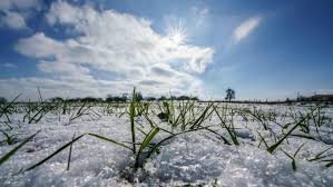 Gehen die eisheiligen ohne frost vorbei, schreien die bauern und winzer juchei. Die Eisheiligen Was Ist Das Und Wann Finden Diese Gedenktage Statt Wetter De