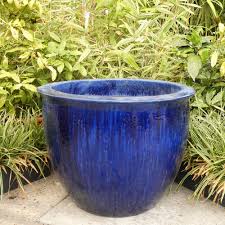 Glazed Blossom Cone Pot | Welcome To Hawley Garden Centre Online