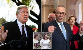 She married a fellow woman, elizabeth weiland on sunday, 18th november 2018. Trump Goes After Schumer S Newlywed Daughter For Working For Facebook Daily Mail Online