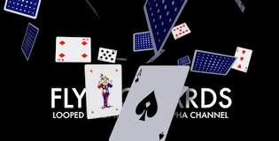Once clicked on that you must create a set on anything you want. Playing Cards Flying Loop By Videomagus Videohive