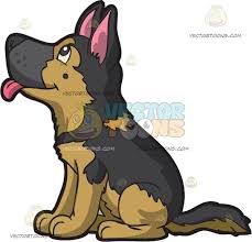 Riehlhaus german shepherds where beauty & brains come togetherriehlhaus german shepherds where beauty & brains come togetherriehlhaus princess pria vom appleridge ofa excellent hips & normal elbows. A Curious German Shepherd Puppy Sitting Down Puppy Sketch Black German Shepherd Puppies German Shepherd Puppies