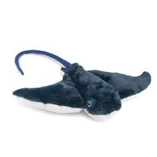 Pin On Animals Of The Sea