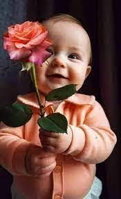 Dixie Barringer's Instagram, Twitter & Facebook