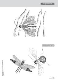 Informieren sie sich vorher, wo speziell in ihrem fall die linie gezogen wird, damit niemand ihnen vorwerfen kann, sie würden „christliche religion propagieren. Sekundarstufe Unterrichtsmaterial Kunst Zeichnen Malen