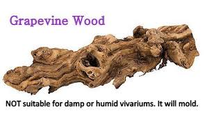 Grapevine Wood Aka Grapewood Not Suitable For Damp Or Humid Vivariums It Will Mold And It Won T Last As Long A Hermit Crab Tank Grape Vines Crested Gecko