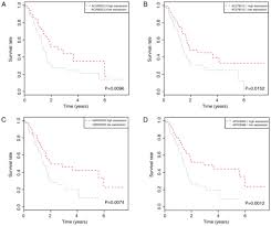 Check spelling or type a new query. Novel Three Lncrna Signature Predicts Survival In Patients With Pancreatic Cancer