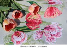 We did not find results for: Stock Photo And Image Portfolio By Marta Svetikova Shutterstock