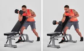 Lats and back muscles in general are often underworked as women tend to focus on the 'more sexy' upper body muscles — shoulders, biceps and triceps. 10 Moves For The Best Back And Biceps Workout Openfit