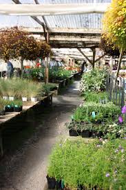 Maybe you would like to learn more about one of these? Half Moon Bay Nursery