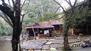 A business person, a young couple or a family with little children. Program Dekat Je Di Kalumpang Resort And Training Centre Diary Mama