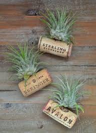 Now that you have an idea of which plants to use, it's time to create your own air plant string art! 14 Creative Diy Air Plant Decor Ideas Shelterness