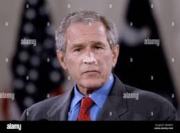 George w bush portraits hi-res stock photography and images