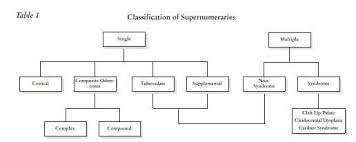 Supernumerary Teeth An Overview Of Classification