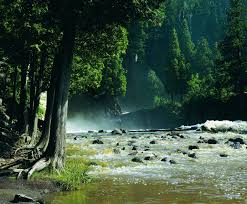 Visit gooseberry falls state park in minnesota and marvel at the stone constructions made out of spend your vacation enjoying gooseberry falls state park cabins which place you right on the trails. Gooseberry Falls State Park Two Harbors Vacation Rentals Cabin Rentals More Vrbo