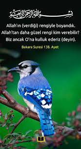 bakara 138 ayet dualar allah islam inanc sozleri