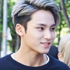 Mingyu Kpop Hair Men Hair Color Hair Styles