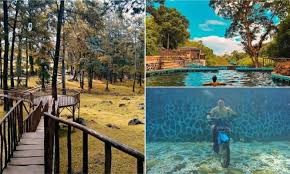 Untuk masuk ke tempat wisata yang satu ini, anda cukup mengeluarkan tarif rp 10.000 jika memakai motor dan rp 20.000 untuk mobil. Woodland Kuningan Spot Foto Instagramable Di Jawa Barat Dengan Tiket Masuk Terjangkau Hanya Rp 10 Ribuan Liburanyuk