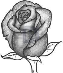 How To Draw A Rose Step By Step Guide This drawing lesson will walk you step by step through the drawing techniques you will need to create your own rose please note that your rose pencil drawing can get easily smudged at this point, so try to keep it in a protected place. how to draw a rose step by step guide