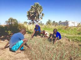 hayri dagli on instagram gambiya da sicak bir pazar gunu pazar gununun anlami dunyadaki herkes icin ayni degil sen de gel ci instagram couple photos scenes