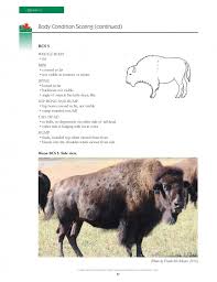 Calendrier bison futé demain autre date chantiers j+7 * champs obligatoires date * départs. Bison Fute Prevision