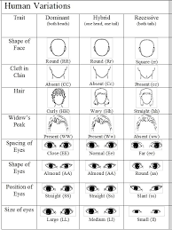 Variations On A Human Face Biology Classroom Teaching Biology Biology Lessons