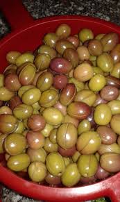 Olive Sott Olio Le Ricette Di Nonna Paola Ricette Ricette Di Cucina Idee Alimentari