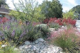 Pacific Horticulture Lush Colorful And Water Wise An Impossible Dream Water Wise Landscaping California Native Garden California Native Plants