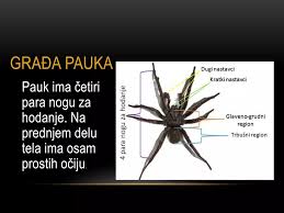 Image result for pokoutnik st job 