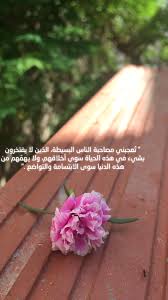 صباح الخير Picture Quotes Pictures Greetings