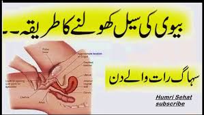 Suhagrat Full Story in Urdu Bivi ki Sharmgah ki Seal Kholny ka Tarika -  video Dailymotion