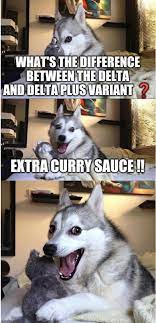 Jun 25, 2021 · la variante delta plus contient une mutation supplémentaire appelée k417n sur la pointe du coronavirus, que l'on retrouve dans les variantes beta et gamma, découvertes pour la première fois en. Delta And Delta Plus Difference 9gag
