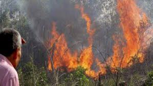 Pembakaran terbukapembakaran pokok tua di kawasan ladang untuk tujuan penanaman semula banyak partikel jelaga. Dmscchjl6 1som