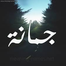 جمانة شكل 19 صوره طريق بين الشجر بخط رقعة كتابة على الورد 2021