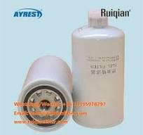 Customized 1000422384 Fuel Filter BF9852 WBF1352 ...
