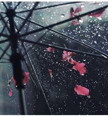 Pin By Paola Nilo Rios On Autumn Rainy Day Photography Rain Photography Rain Wallpapers